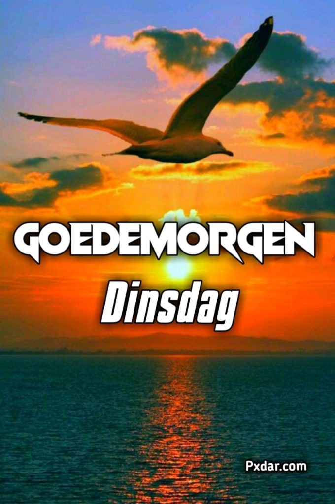 Dinsdag Goedemorgen