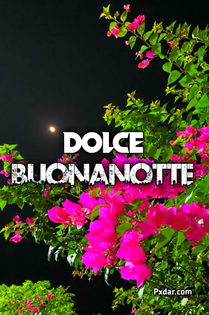 Dolce Buona Notte