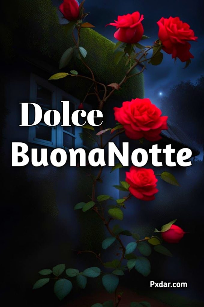 Dolce Buonanotte