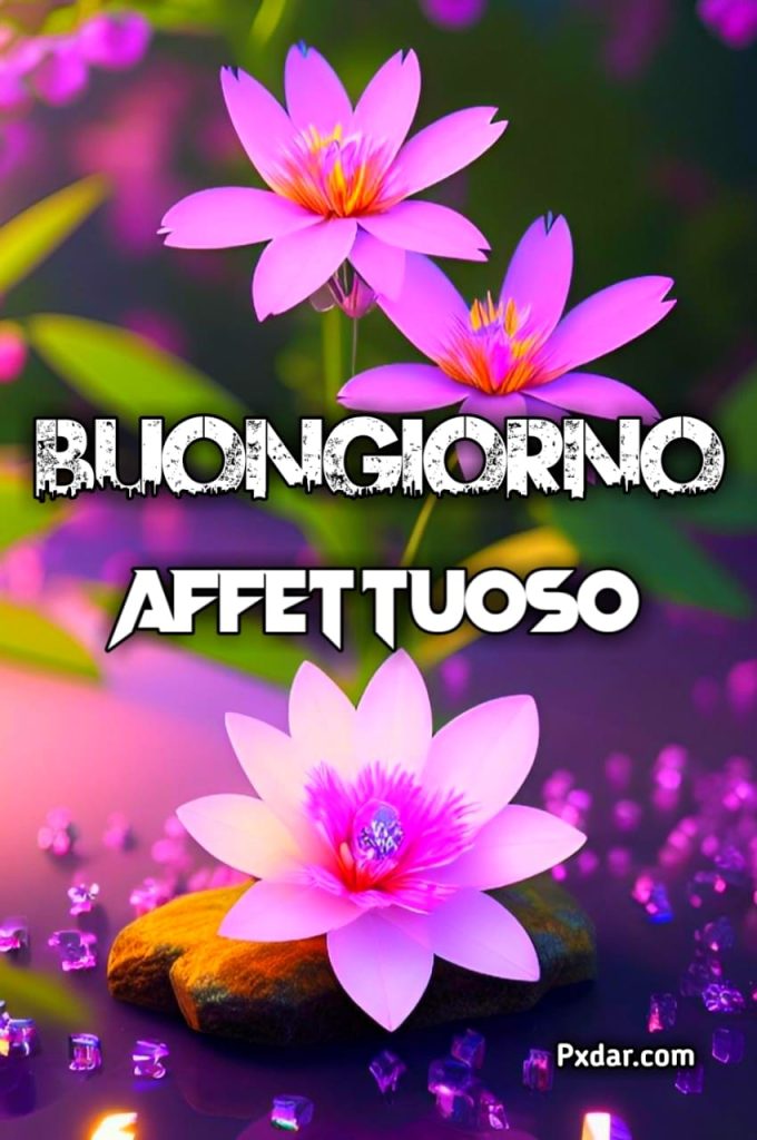 Dolce Buongiorno Affettuoso