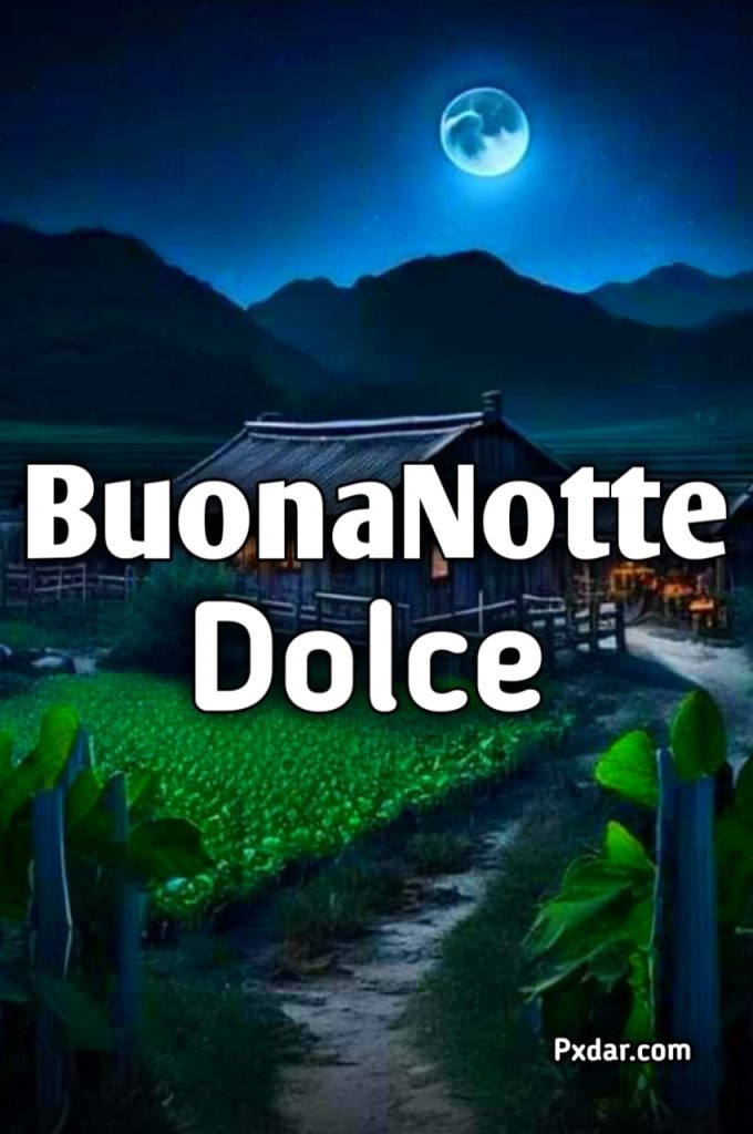 Dolce Notte Con Affetto