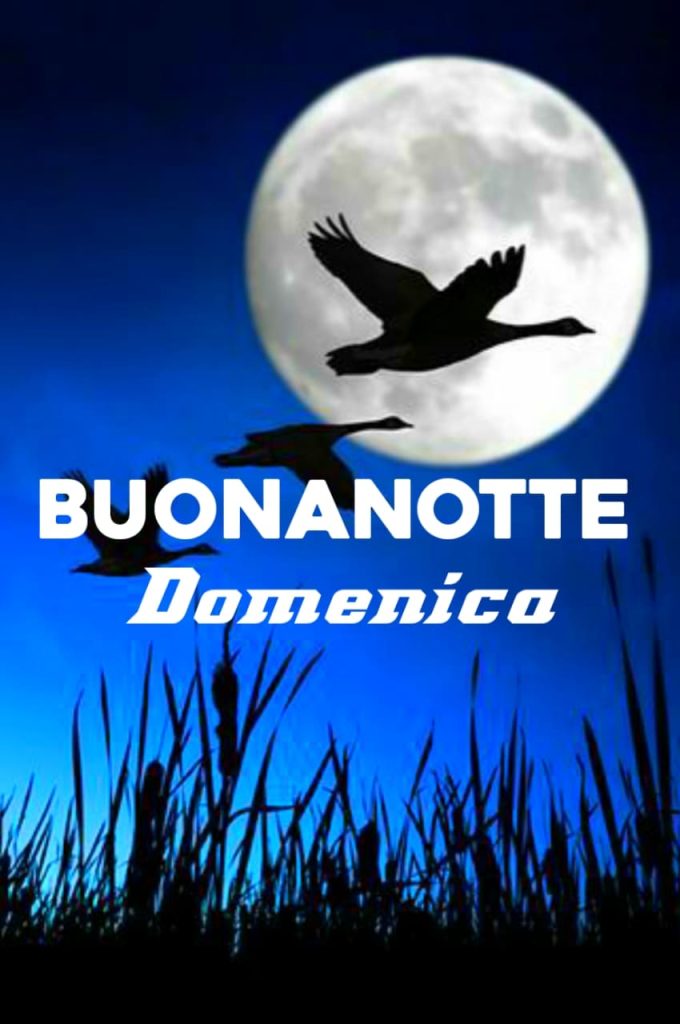 Domenica Finita Buonanotte Gif