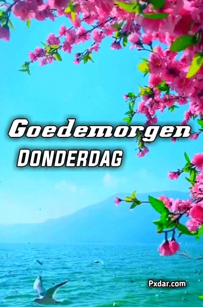 Donderdag Plaatjes Goedemorgen