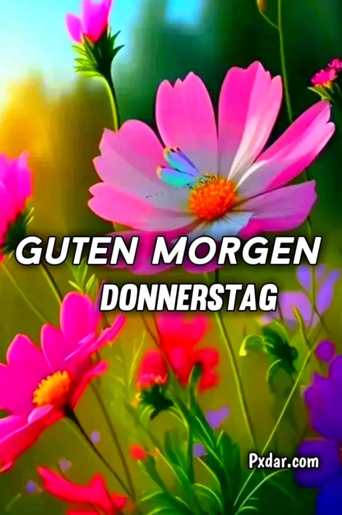 Donnerstag Guten Morgen Bilder