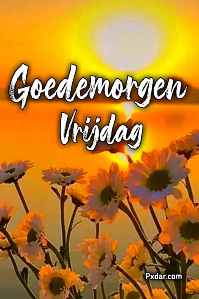 Fijne Vrijdag Goedemorgen