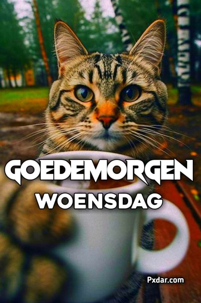 Fijne Woensdag Goedemorgen Woensdag Humor