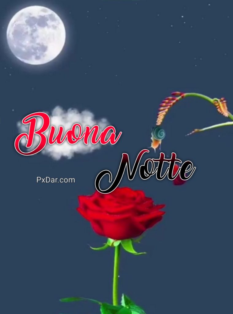 Foto Buonanotte