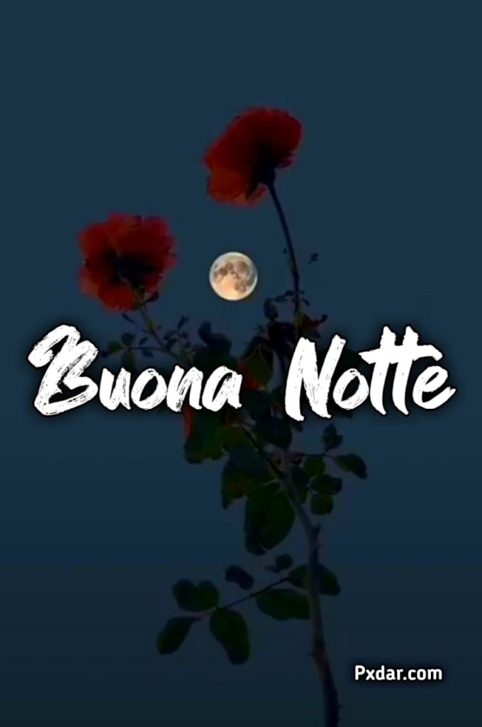 Frasi Buonanotte Simpatiche