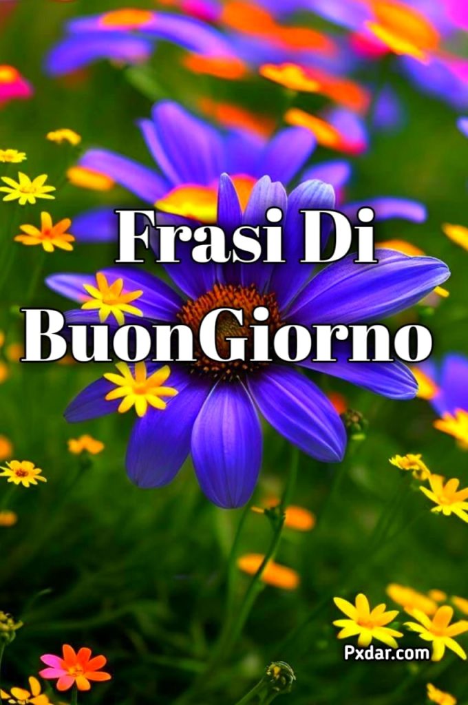 Frasi Di Buongiorno Gratis