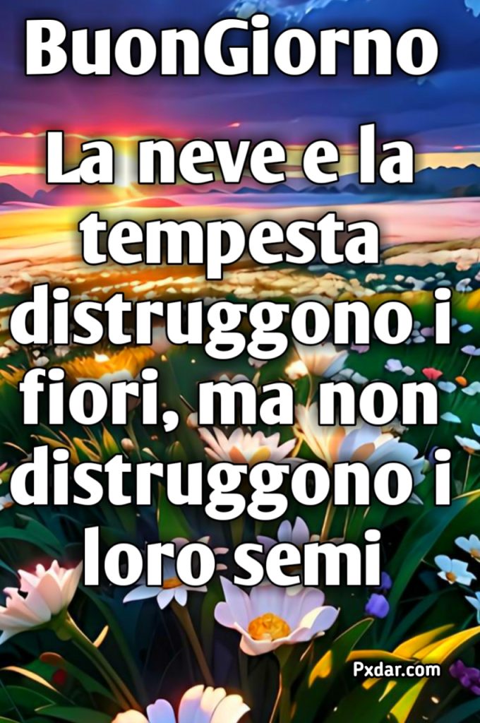 Frasi La Vita Di Tutto E Di Più Buongiorno