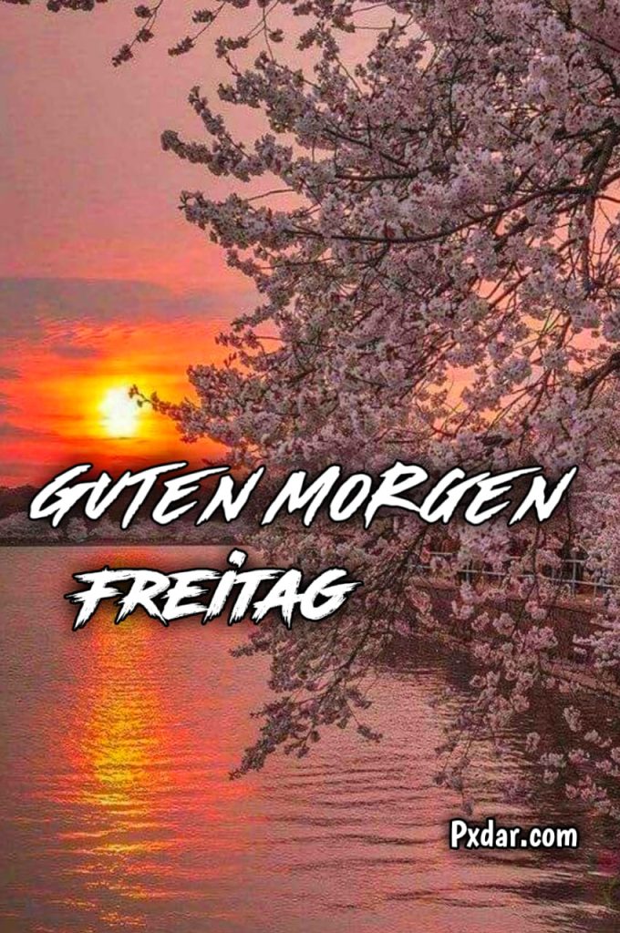 Freitag Guten Morgen Gruß