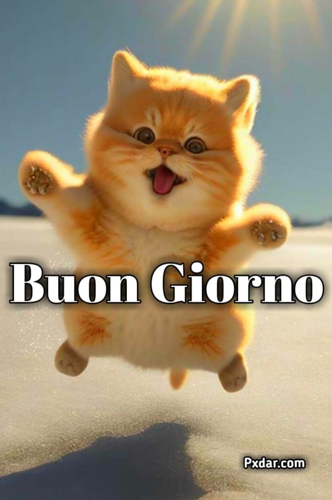 Gatto Buongiorno