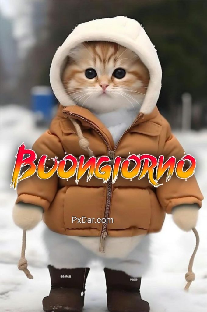 Gif Buongiorno Divertenti Whatsapp Gratis