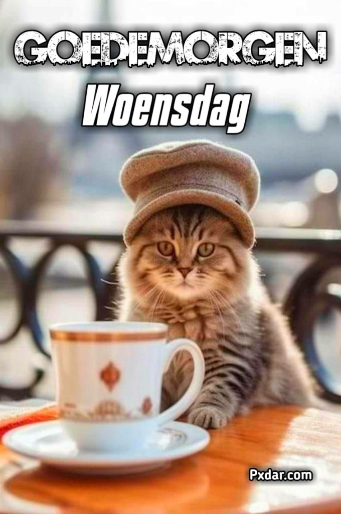 Goedemorgen Allemaal Een Mooie Woensdag