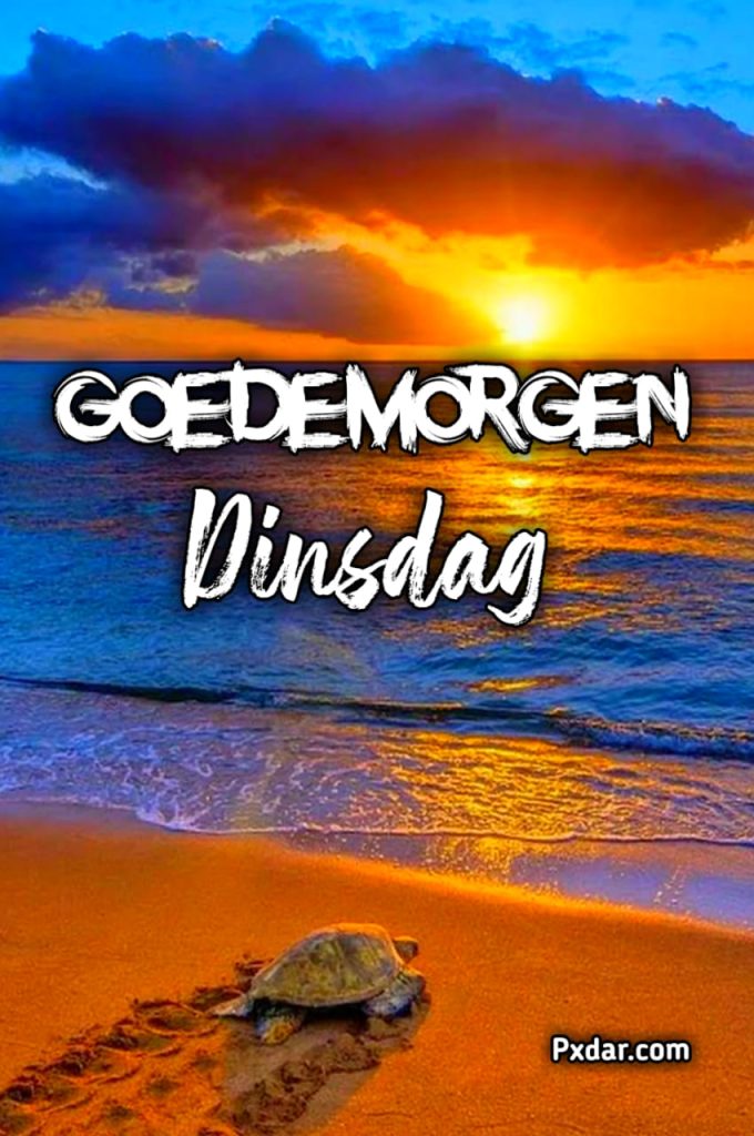 Goedemorgen Dinsdag Wensen