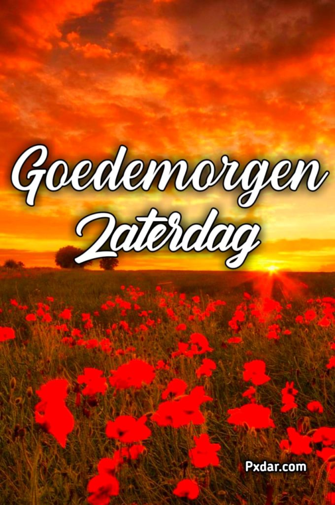 Goedemorgen Fijne Zaterdag En Mooi Weekend