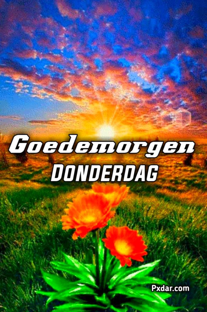 Goedemorgen Grappig Donderdag