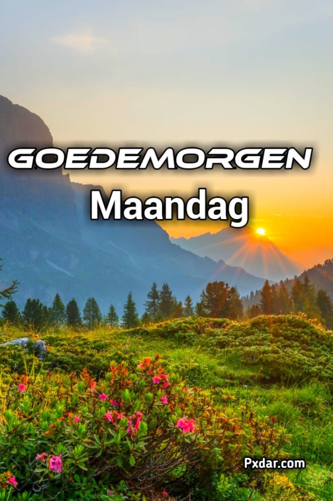 Goedemorgen Het Is Weer Maandag