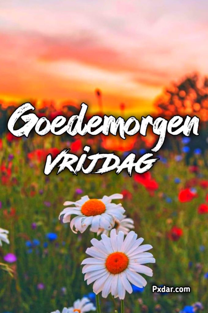 Goedemorgen Koude Vrijdag