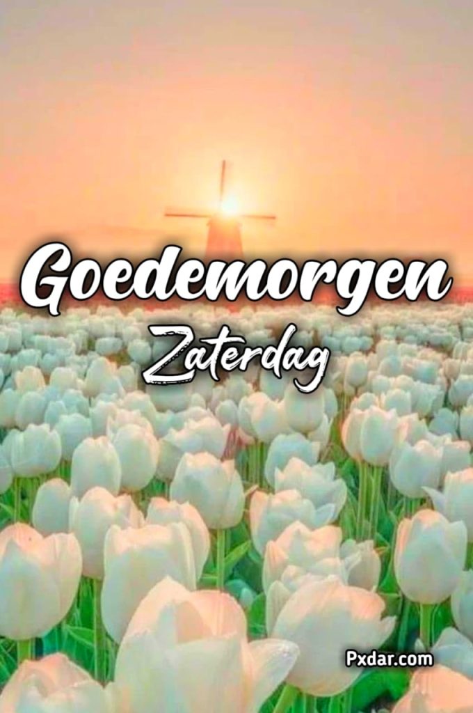 Goedemorgen Koude Zaterdag