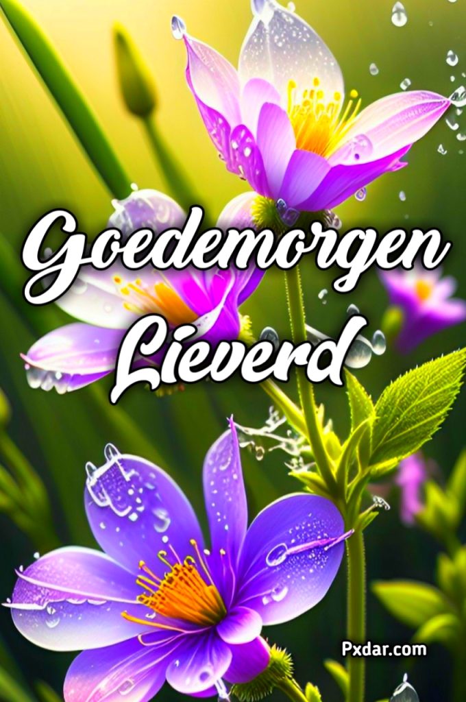 Goedemorgen Liefste