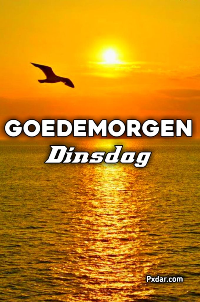 Goedemorgen Regenachtige Dinsdag