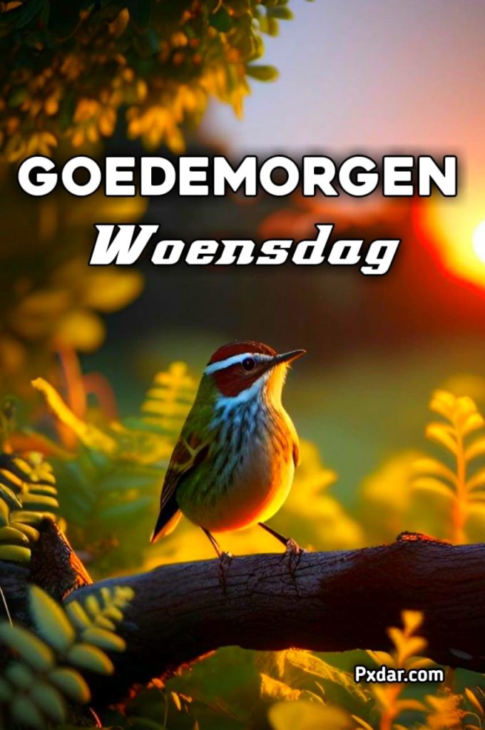 Goedemorgen Woensdag Zon