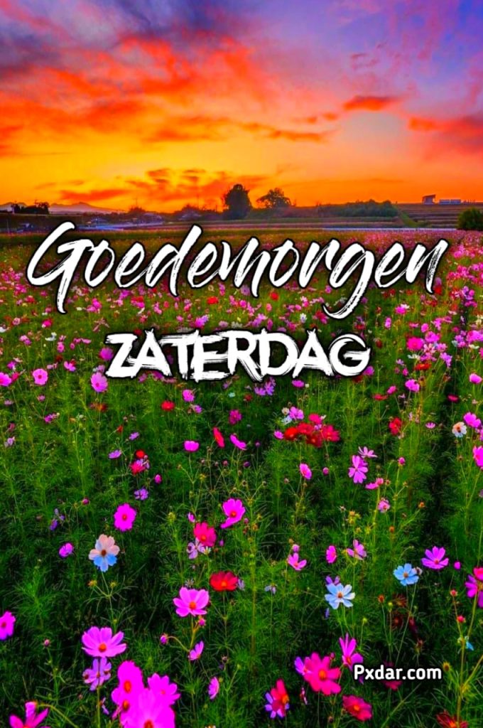 Goedemorgen Zaterdag Gif