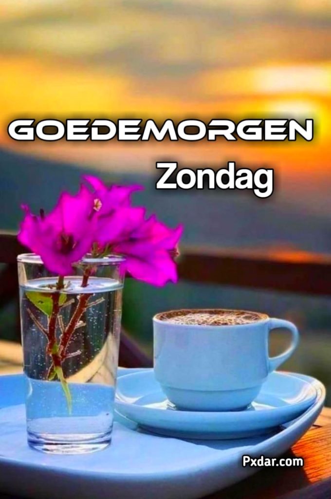 Goedemorgen Zondag Bloemen