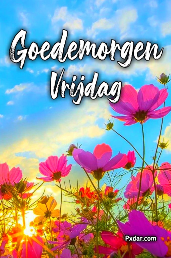 Goedemorgen Zonnige Vrijdag