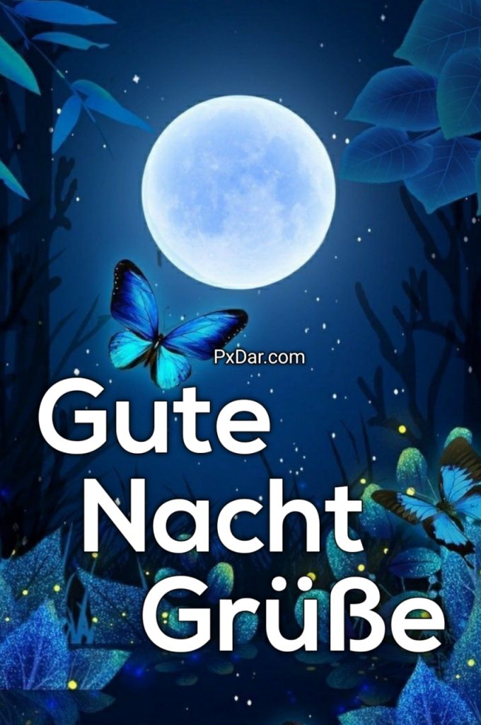 Gut Nacht Gruss