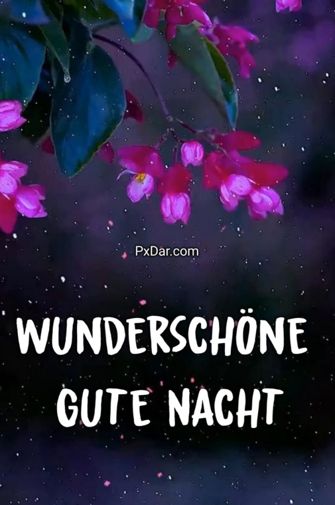 Gute Nacht Bilder