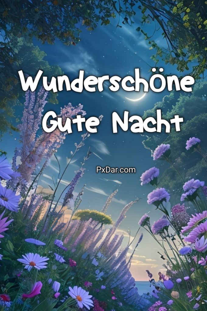 Gute Nacht Bilder Kostenlos