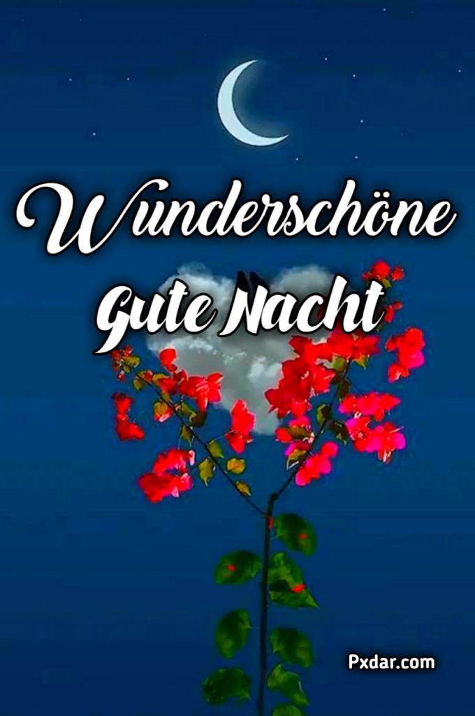 Gute Nacht Bilder Kostenlos Whatsapp