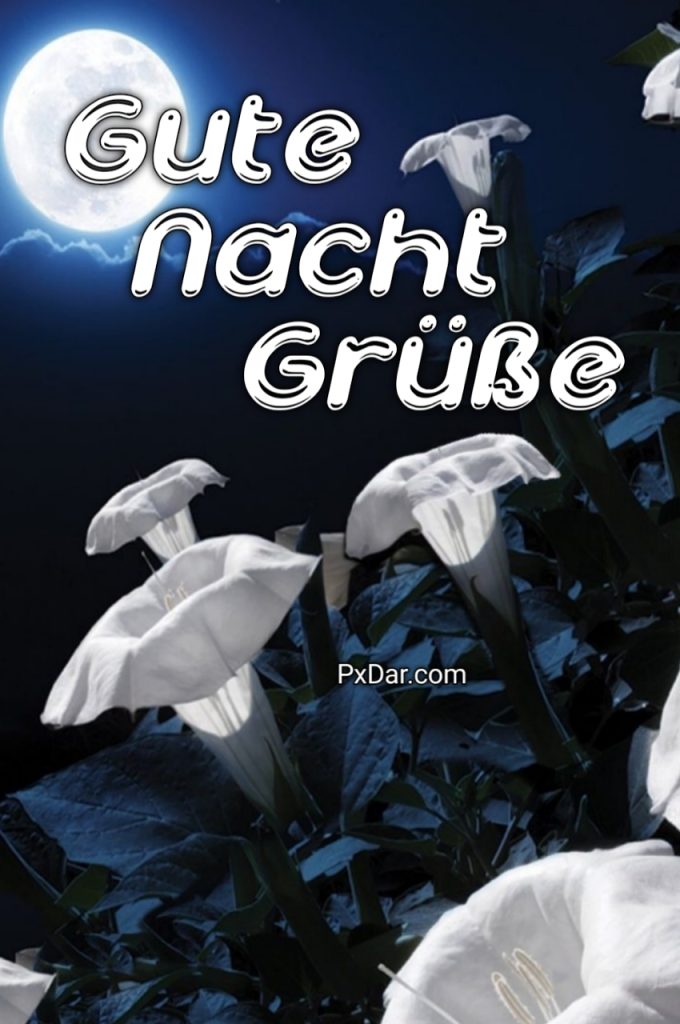 Gute Nacht Grüße Für Einen Lieben Menschen