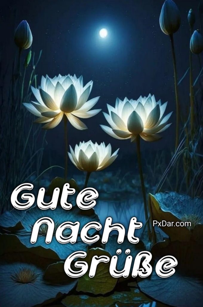 Gute Nacht Grüße Whatsapp Kostenlos