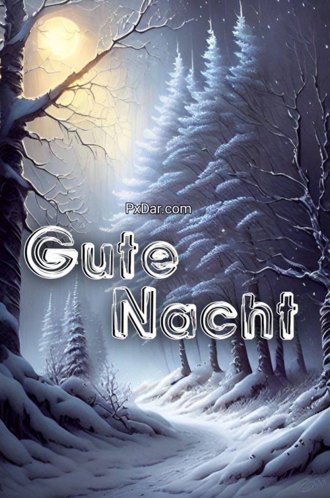 Gute Nacht Im Kühlen Winter