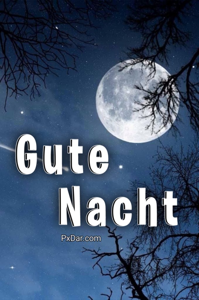 Gute Nacht Kleiner Maulwurf Winter