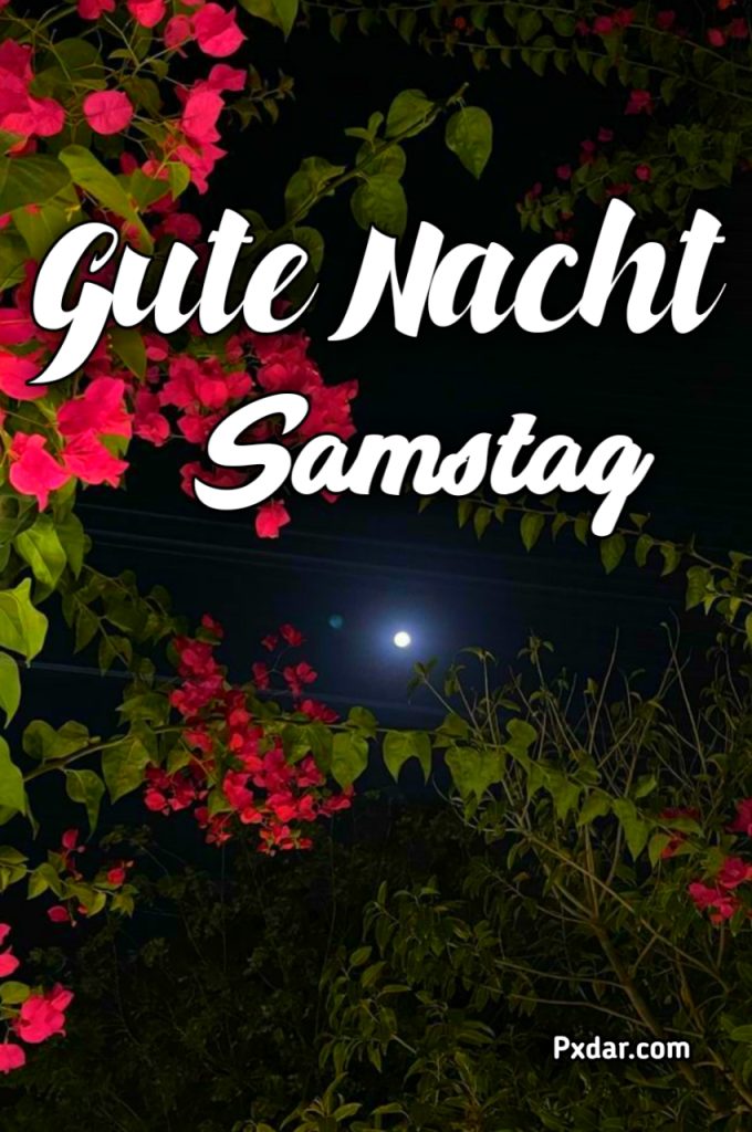 Gute Nacht Samstag