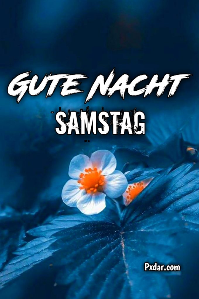 Gute Nacht Samstag Abend