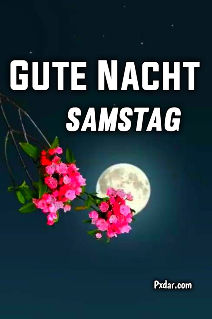 Gute Nacht Samstag Lustig