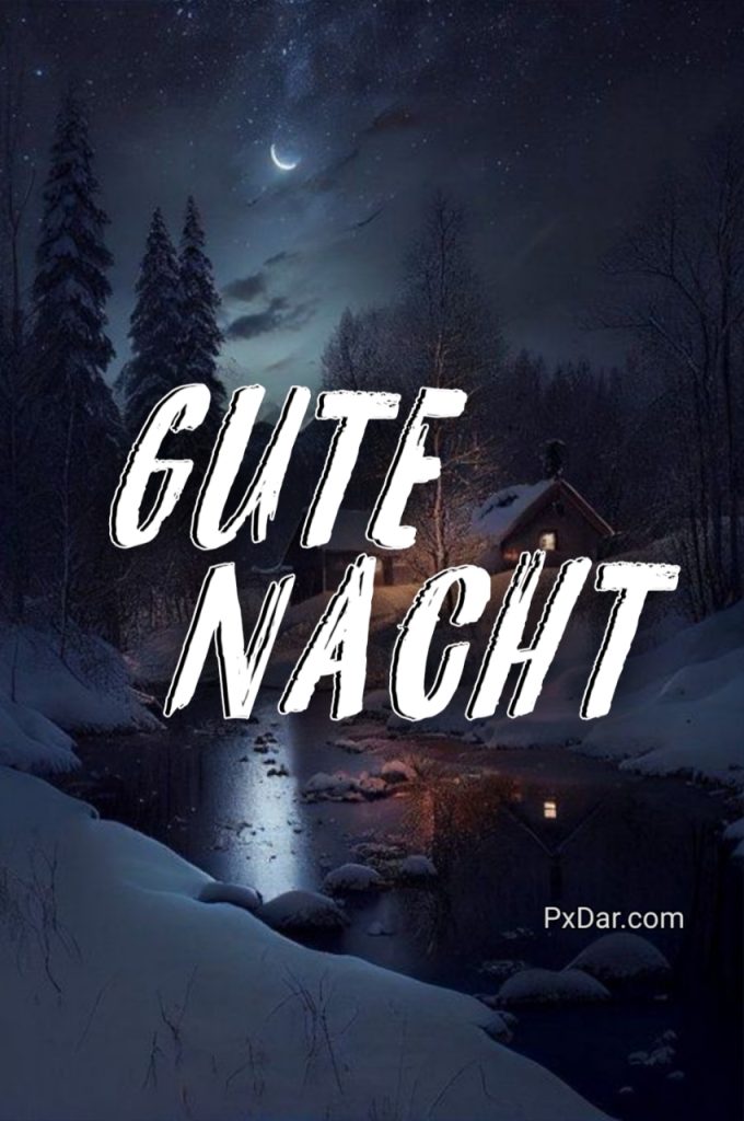 Gute Nacht Winter