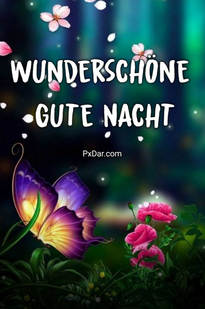 Guten Abend Gute Nacht Bilder