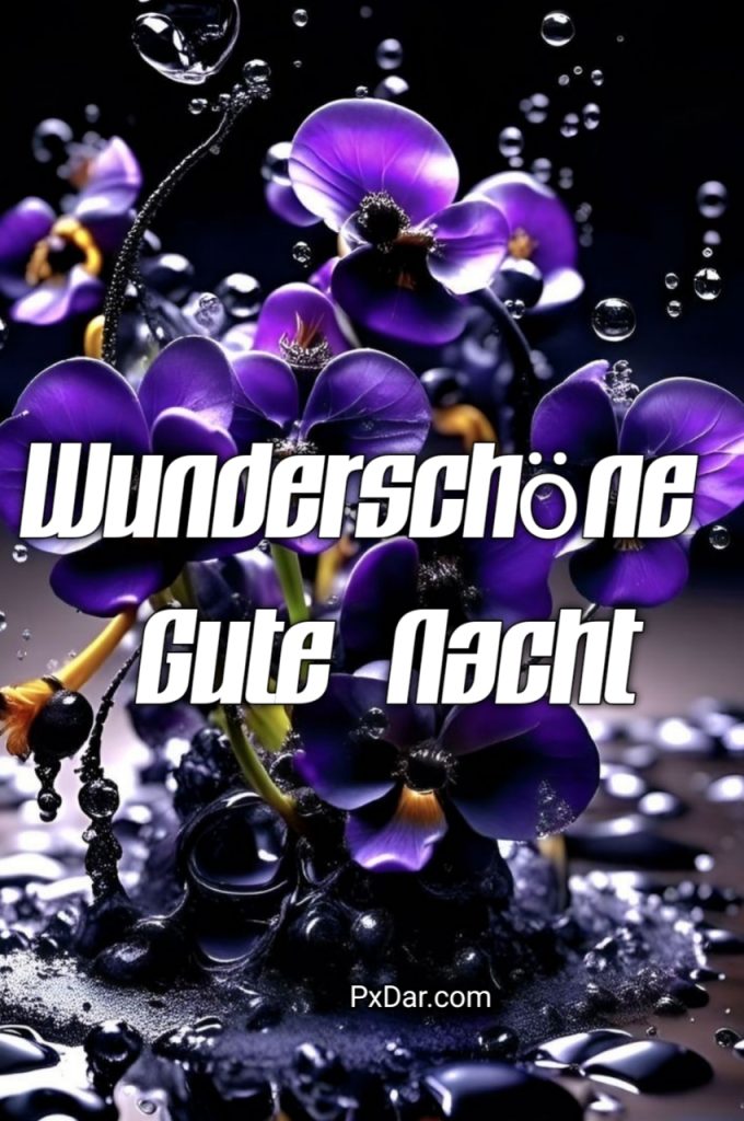 Guten Abend Gute Nacht Bilder Für Whatsapp Kostenlos