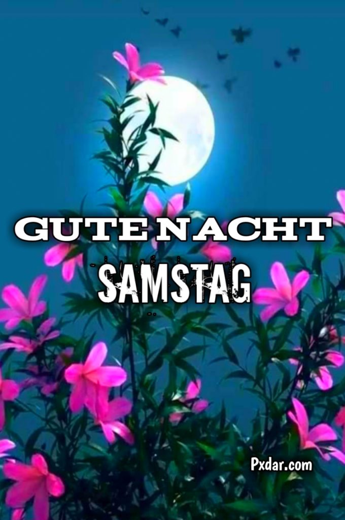 Guten Abend Gute Nacht Samstag Bilder