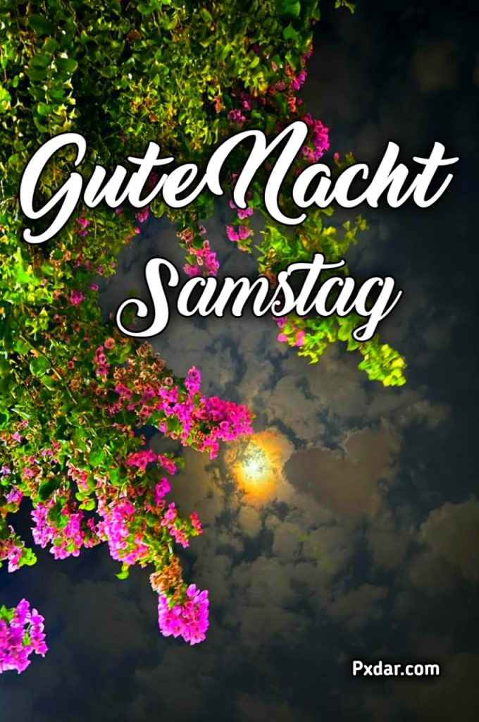 Guten Abend Gute Nacht Samstag Bilder Kostenlos