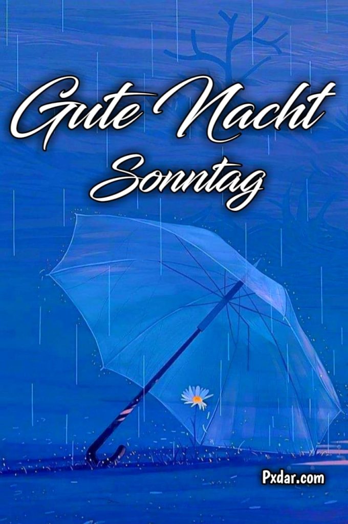 Guten Abend Gute Nacht Sonntag