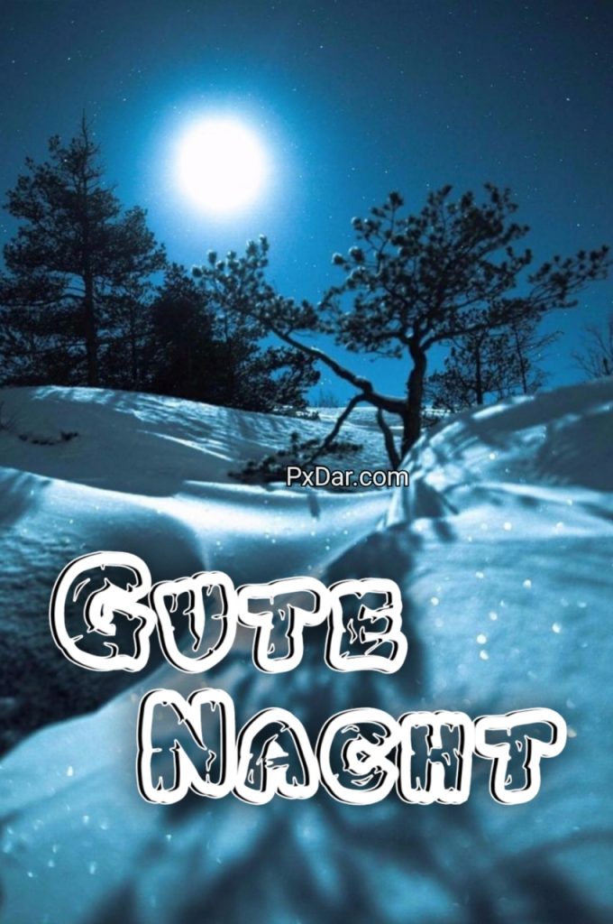 Guten Abend Gute Nacht Winter