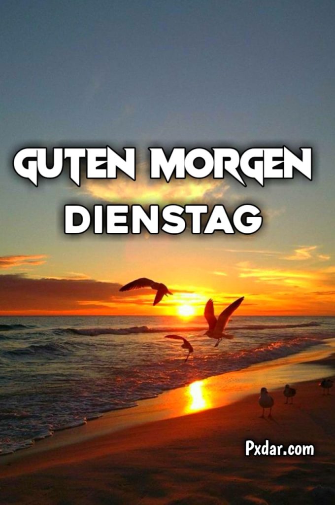 Guten Morgen Am Dienstag