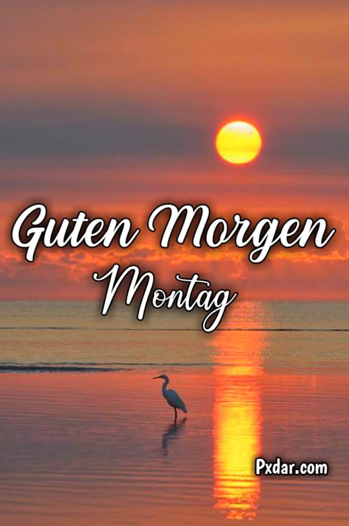 Guten Morgen Am Montag